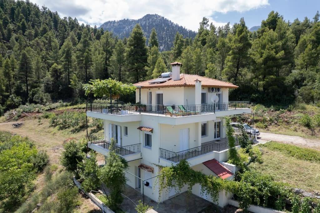 Dream House Capturing The Magic Of Nature Vlachia Экстерьер фото