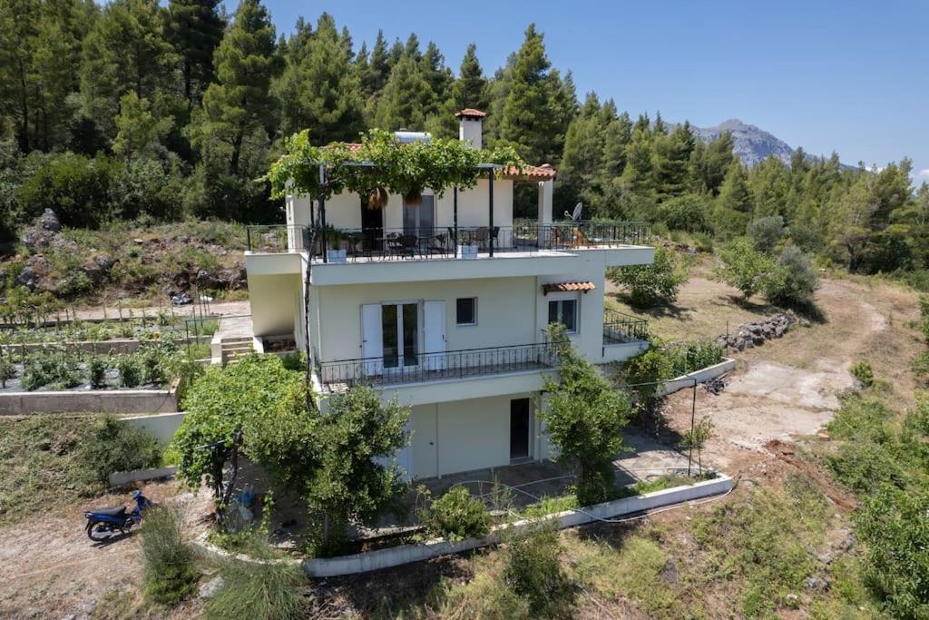 Dream House Capturing The Magic Of Nature Vlachia Экстерьер фото