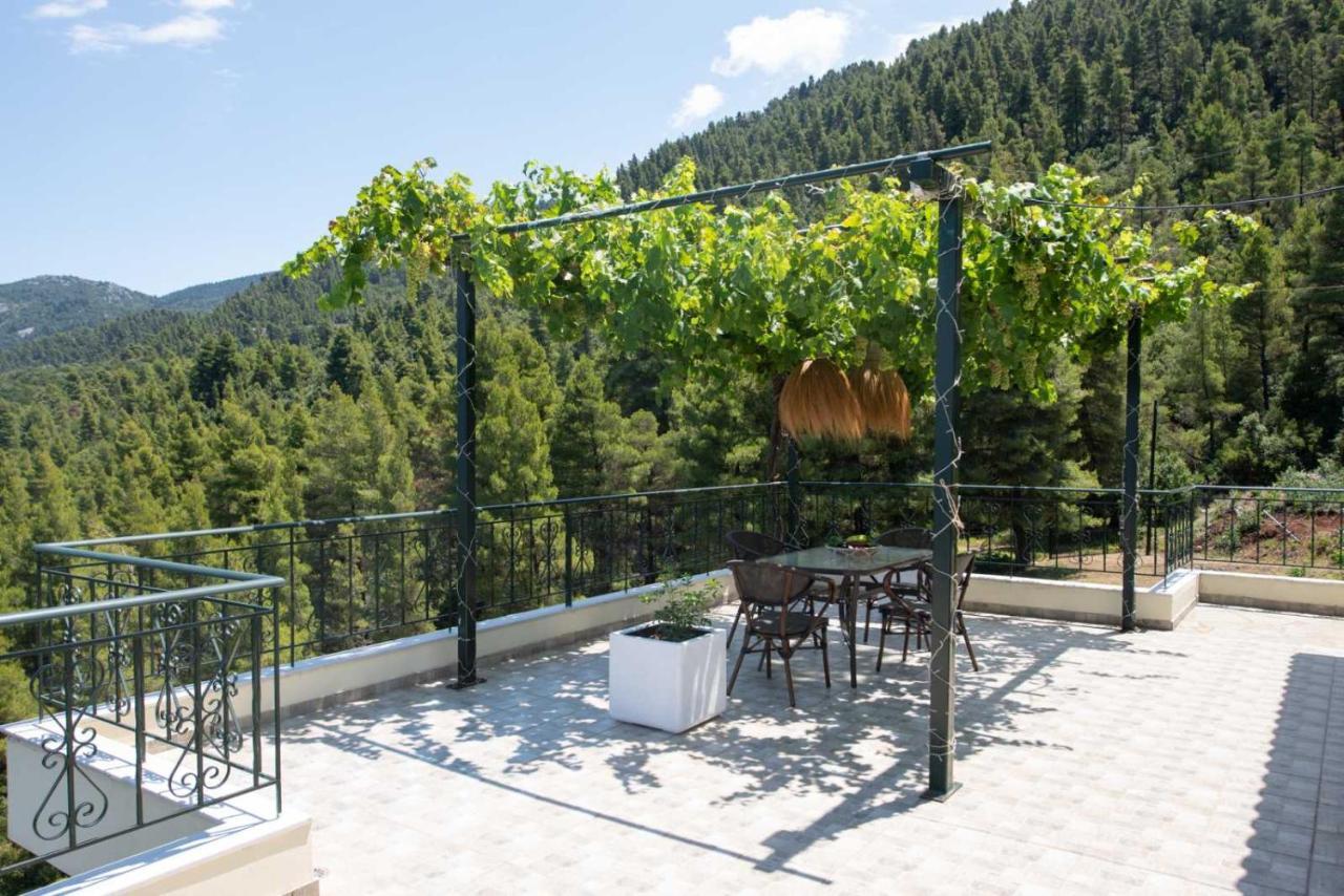 Dream House Capturing The Magic Of Nature Vlachia Экстерьер фото