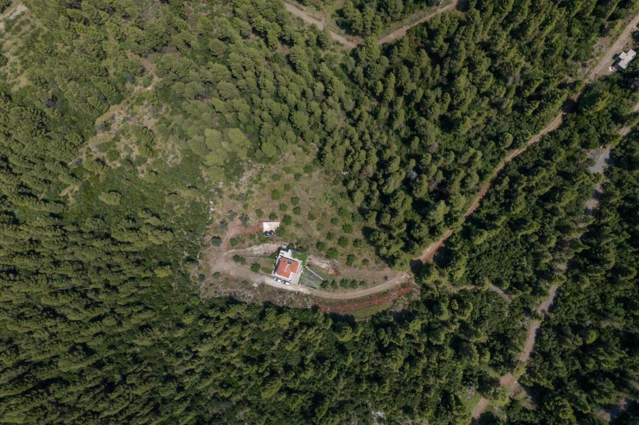 Dream House Capturing The Magic Of Nature Vlachia Экстерьер фото