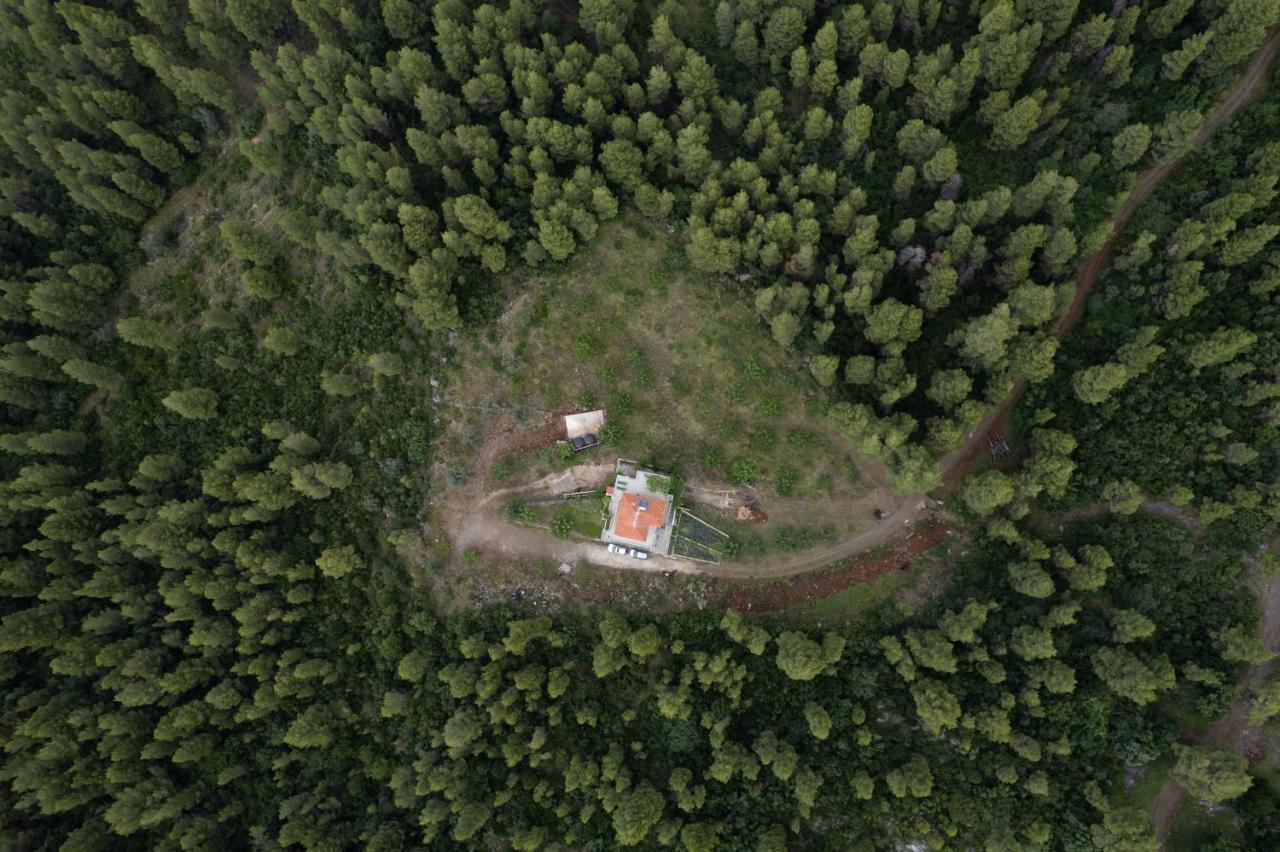 Dream House Capturing The Magic Of Nature Vlachia Экстерьер фото